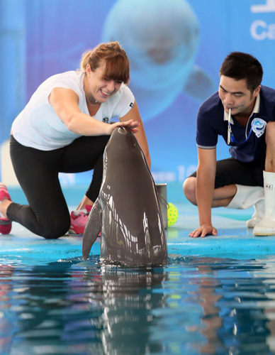 直率并非敌 直率并非敌